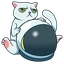 CAT图标